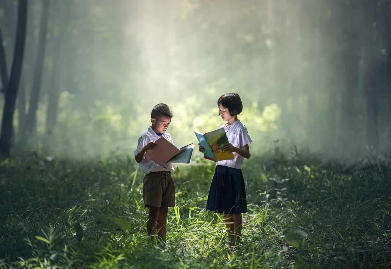 kids studying in forest